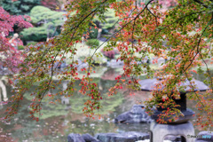 石灯籠と池と紅葉　その2