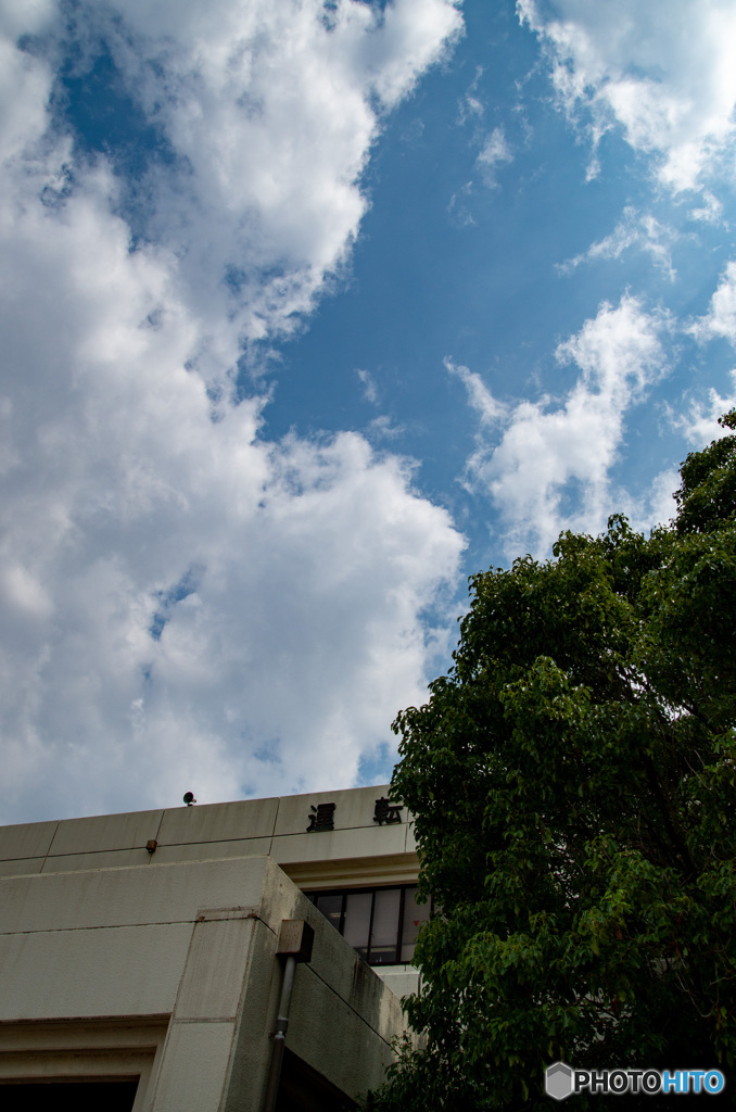 発見！夏空！　運転免許センターの受付行列中に