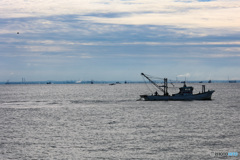 浦安沖　朝の漁