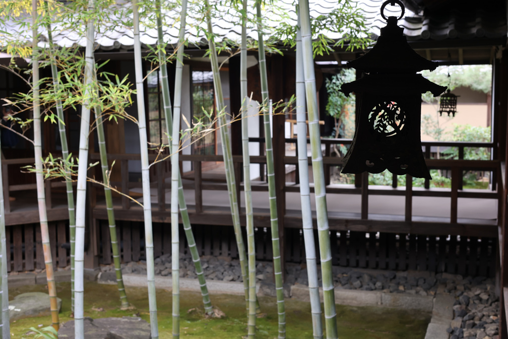 妙顕寺　竹の中庭