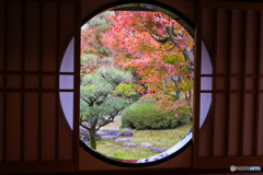 京都紅葉の訪問　妙顕寺　丸窓