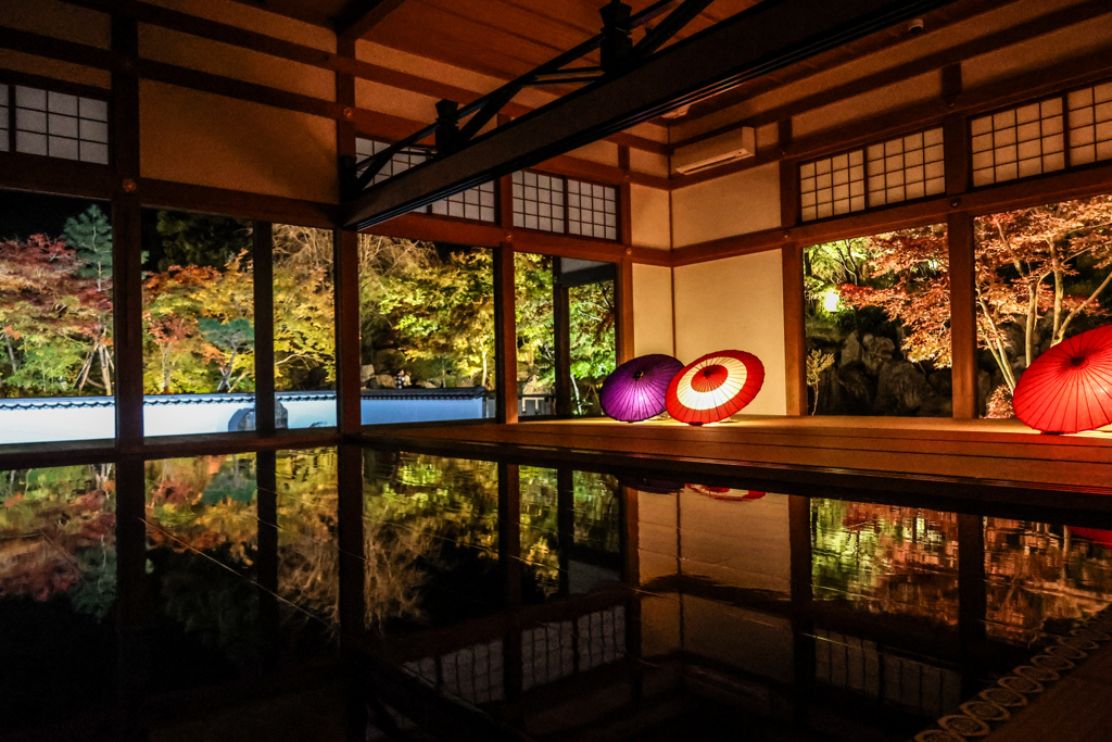 宝徳寺　床もみじ