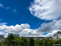 夏至の前日　梅雨の晴れ間の空