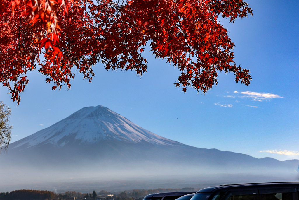 もみじと富士山