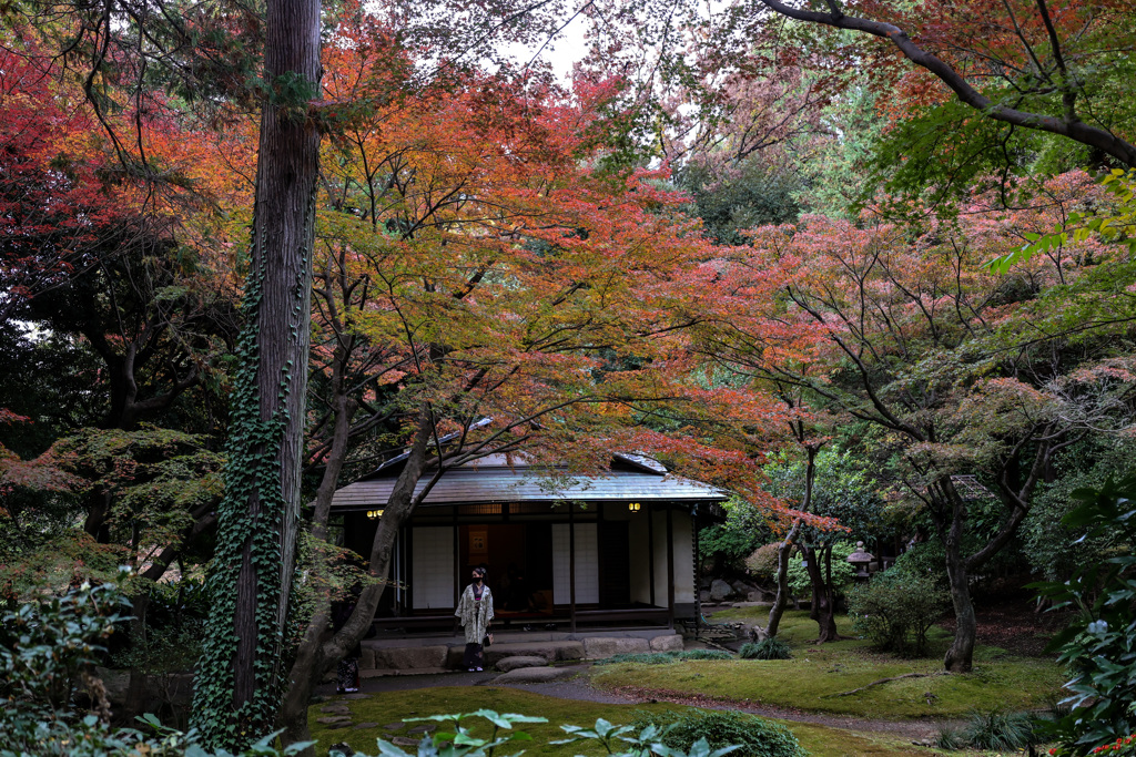 東京の紅葉　旧古河庭園　茶席の佇まい