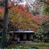 東京の紅葉　旧古河庭園　茶席の佇まい