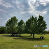 GWの公園にて