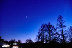 戦場ヶ原　三本松の夕暮れ