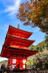 清水寺　鮮やかになってた子安塔