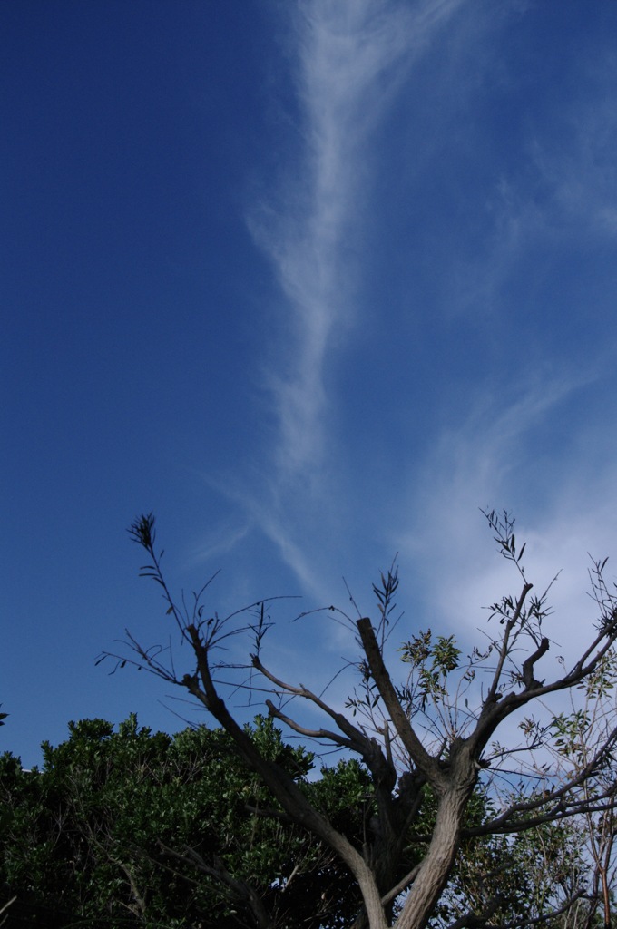 秋空