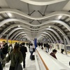 渋谷の白鯨のお腹の中で
