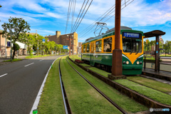 芝生の道を行く路面電車＠鹿児島市