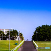 残暑きついから帰りましょ。公園の坂道