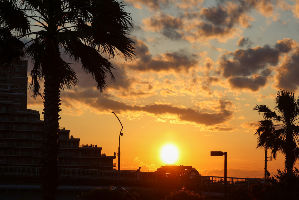 今日の夕暮れ　庭から