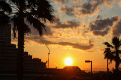 今日の夕暮れ　庭から