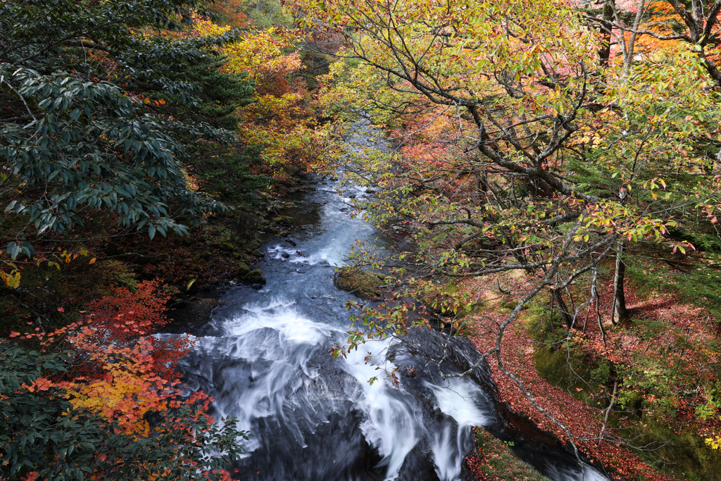 紅葉と清流　湯の滝への散策路にて　昨年