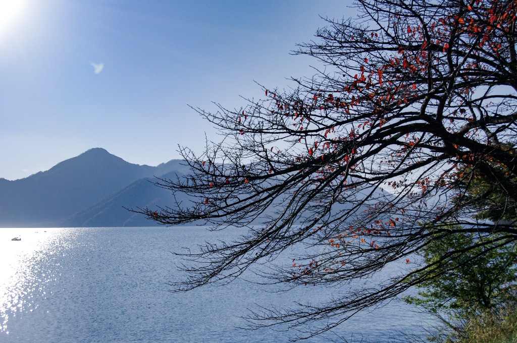 湖畔の紅葉　残り少ないけど、きれい