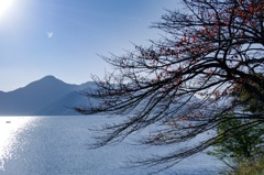 湖畔の紅葉　残り少ないけど、きれい