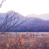 夕暮れについた戦場ヶ原　露出修正バージョンです。