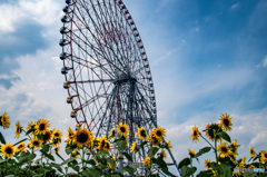 ひまわり、夏空、観覧車