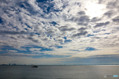 浦安沖　朝の風景