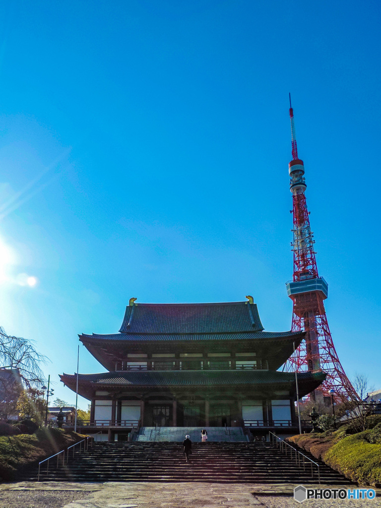 東京タワーと芝増上寺　なんともお似合いです