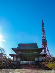 東京タワーと芝増上寺　なんともお似合いです