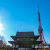 東京タワーと芝増上寺　なんともお似合いです