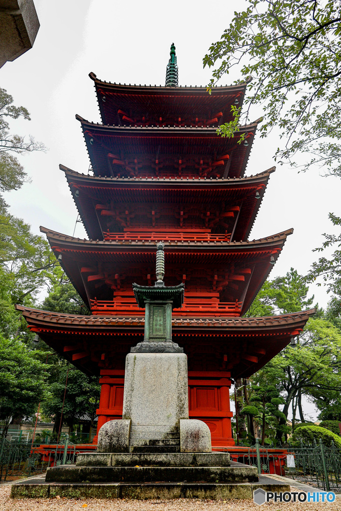 雨に濡れる法華経寺　五重塔