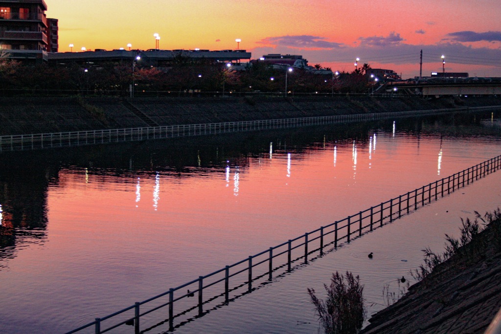 浦安境川夕景　夕暮れ色に溶け込む水面