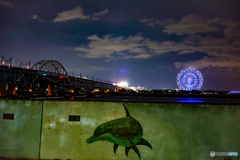 東京湾の夜景　新木場のイルカ壁画から葛西臨海公園