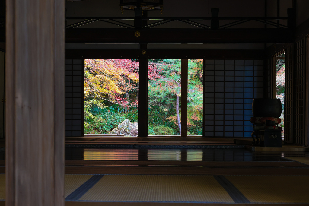 南禅寺　南禅院　向こう側の紅葉