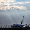 羽田空港の秋空　その2 鳥の群れとANAとレンブラントな光