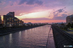 今日の夕空は桜色でした。浦安境川　夕景