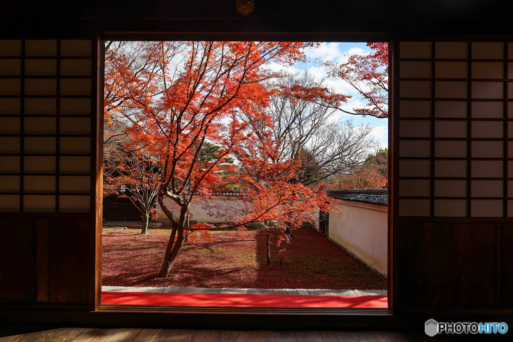 広間より庭園を見る　妙覺寺