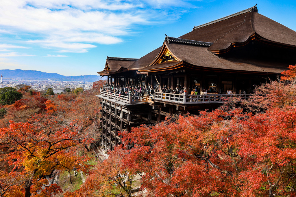 快晴！　紅葉に包れる清水寺