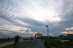 暖冬の夕日の中　帰宅を急ぐ自転車の家族