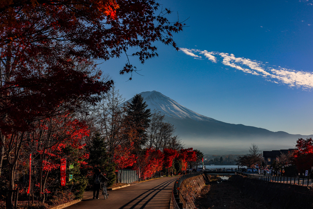 富士山と紅葉と河口湖への道