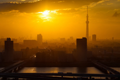 東京スカイツリーのある夕景　地上100m@タワーホール船堀