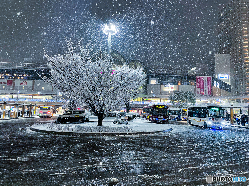 今日は雪　千葉浦安が雪国に