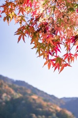中禅寺湖の紅葉　その2 八丁出島は向こう岸です