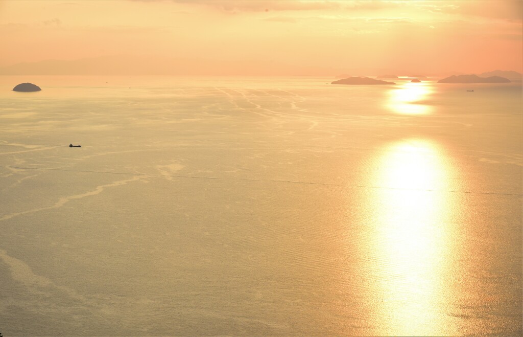 海 光る