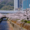 生田川公園