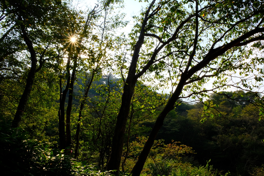 六甲山
