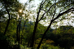 六甲山