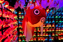 奈良金魚ミュージアム