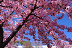 西郷川河口公園