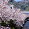 生田川公園