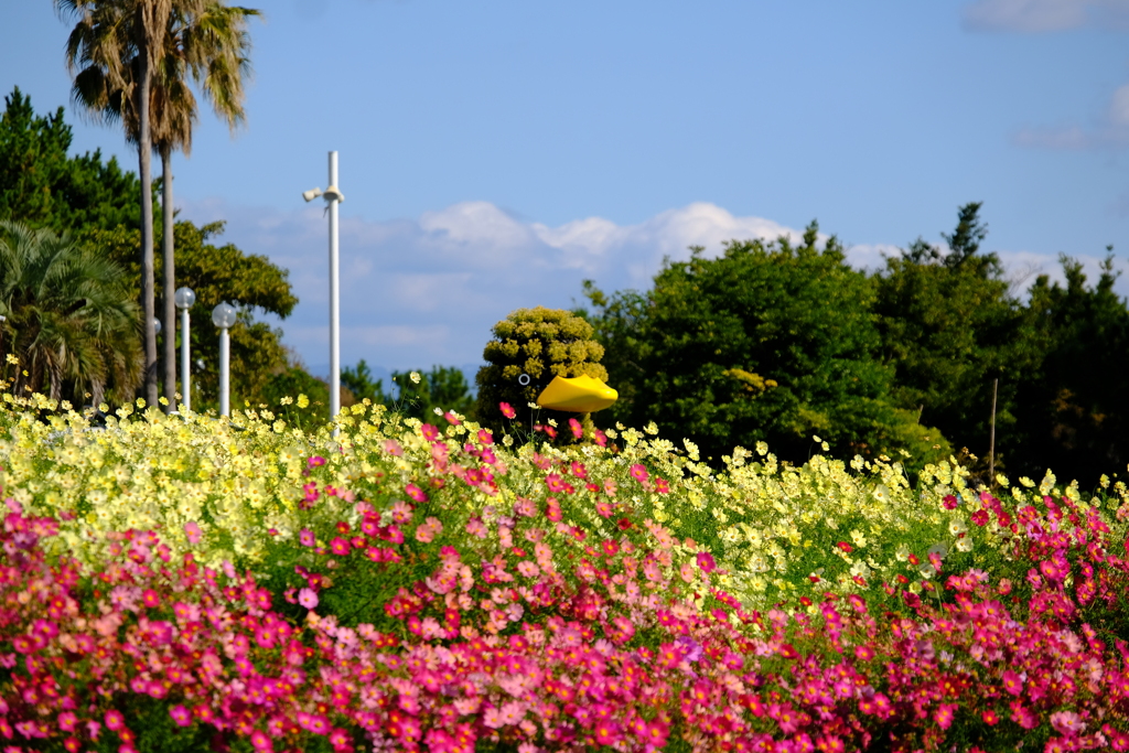 明石海峡公園