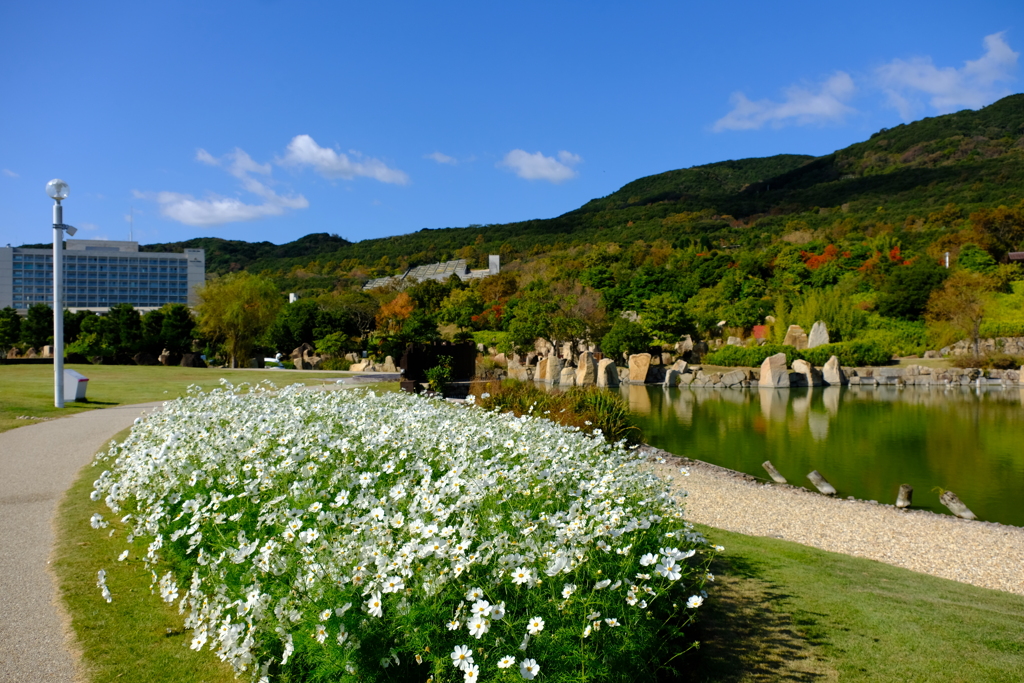 明石海峡公園